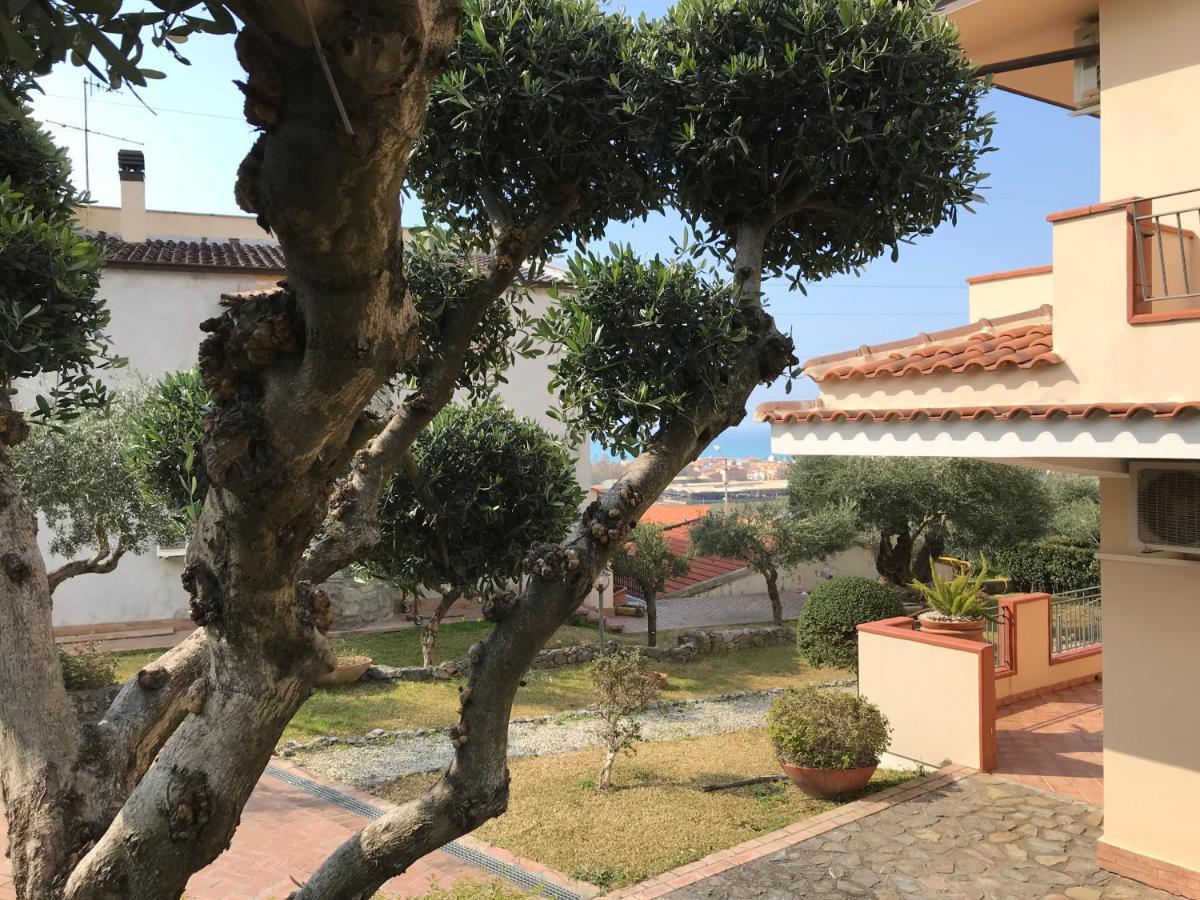 B&B Villa Degli Ulivi 普拉亚·阿马勒 外观 照片