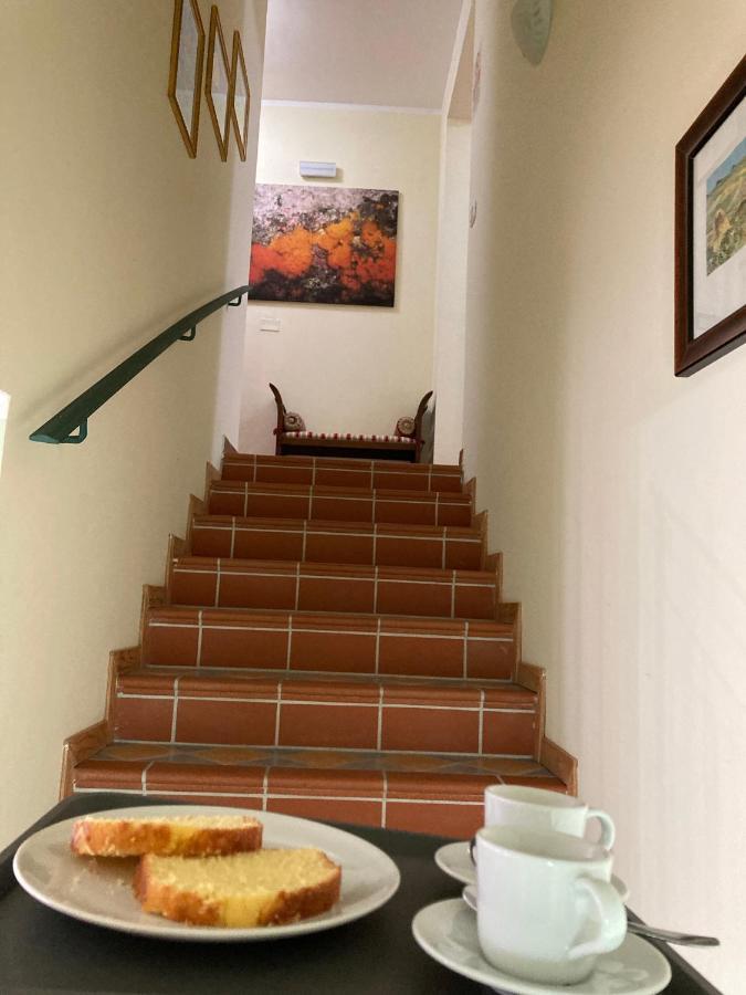 B&B Villa Degli Ulivi 普拉亚·阿马勒 外观 照片
